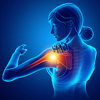 GLOBAL MEDICAL DEVICE COMPANY (ORTHOPEDICS)