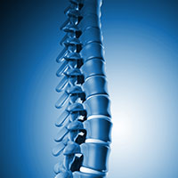 GLOBAL MEDICAL DEVICE COMPANY (ORTHOPEDICS)